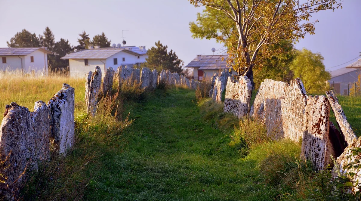 【2026年最新版】人気ブランドの比較とおすすめポイント完全ガイド｜失敗しない選び方