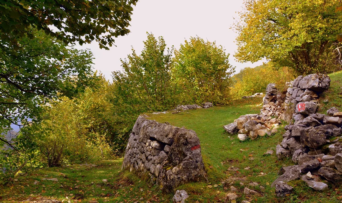 結局、何から始めるべきか？ 私からの最終アドバイス